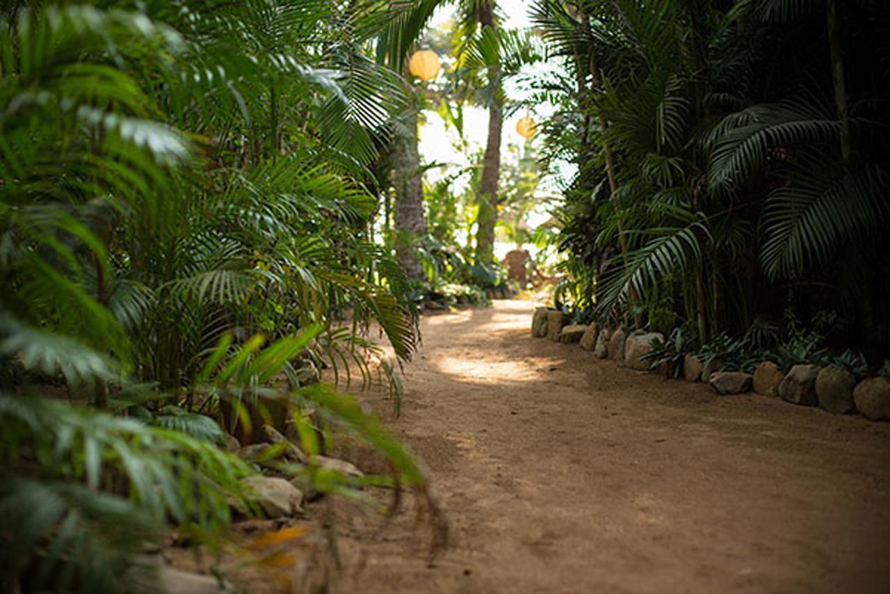 Отель Agonda White Sand Экстерьер фото